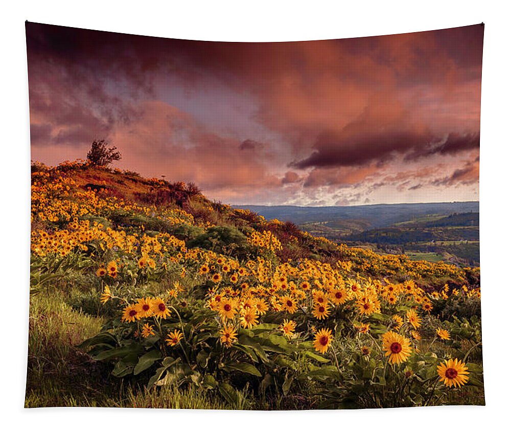 Rowena Crest Sunrise Tapestry featuring the photograph Rowena Crest Sunrise by Wes and Dotty Weber