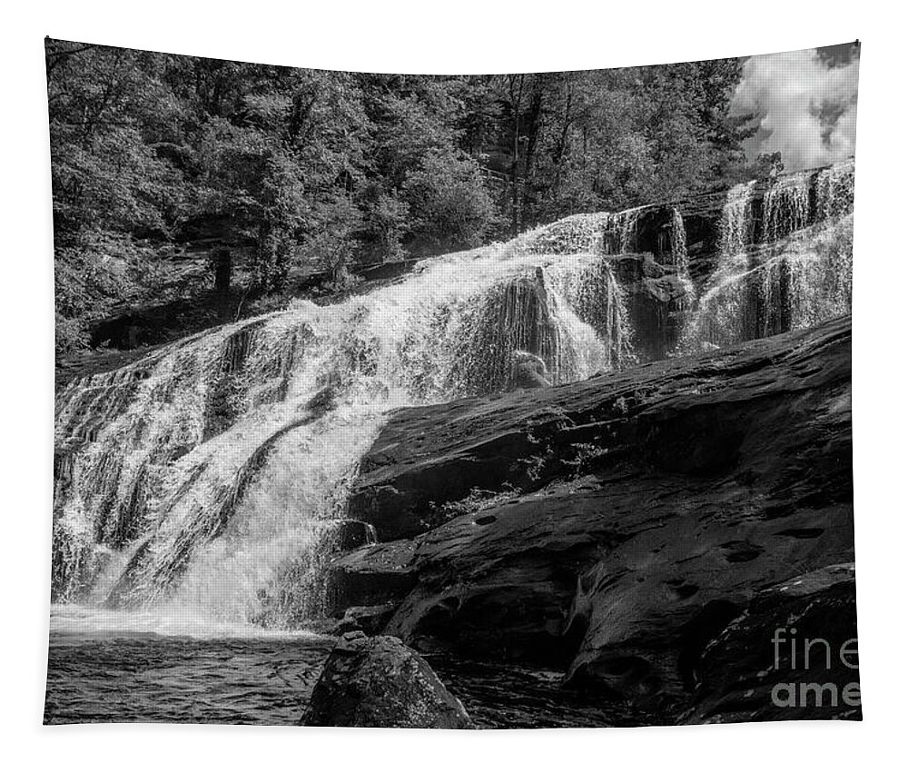 3682 Tapestry featuring the photograph Tennessee Wall Art by FineArtRoyal Joshua Mimbs