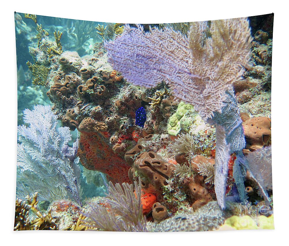 Underwater Tapestry featuring the photograph The Aquarium 3 #1 by Daryl Duda