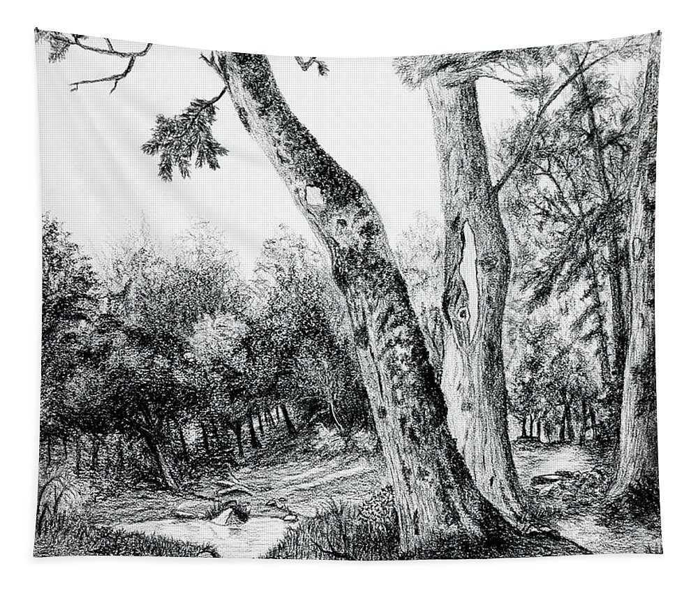 Trees Tapestry featuring the drawing The Elders #1 by Garry McMichael