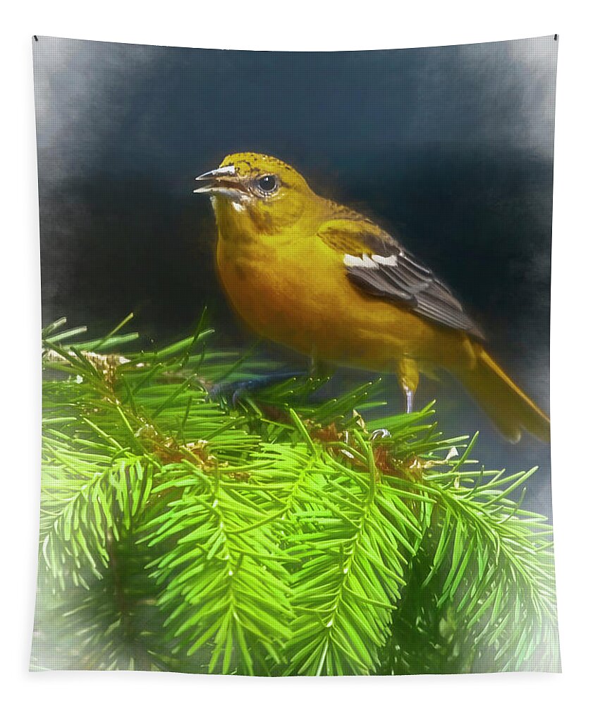 Songbird Tapestry featuring the photograph The Oriole by Cathy Kovarik
