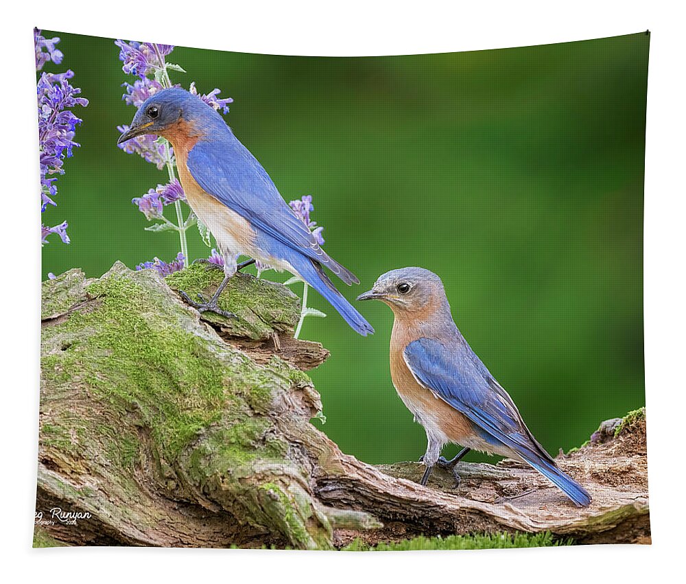 Birds Tapestry featuring the photograph The Perfect Pair #1 by Peg Runyan