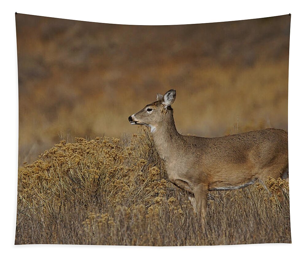 Colorado Tapestry featuring the photograph The Whitetail #1 by Ernest Echols