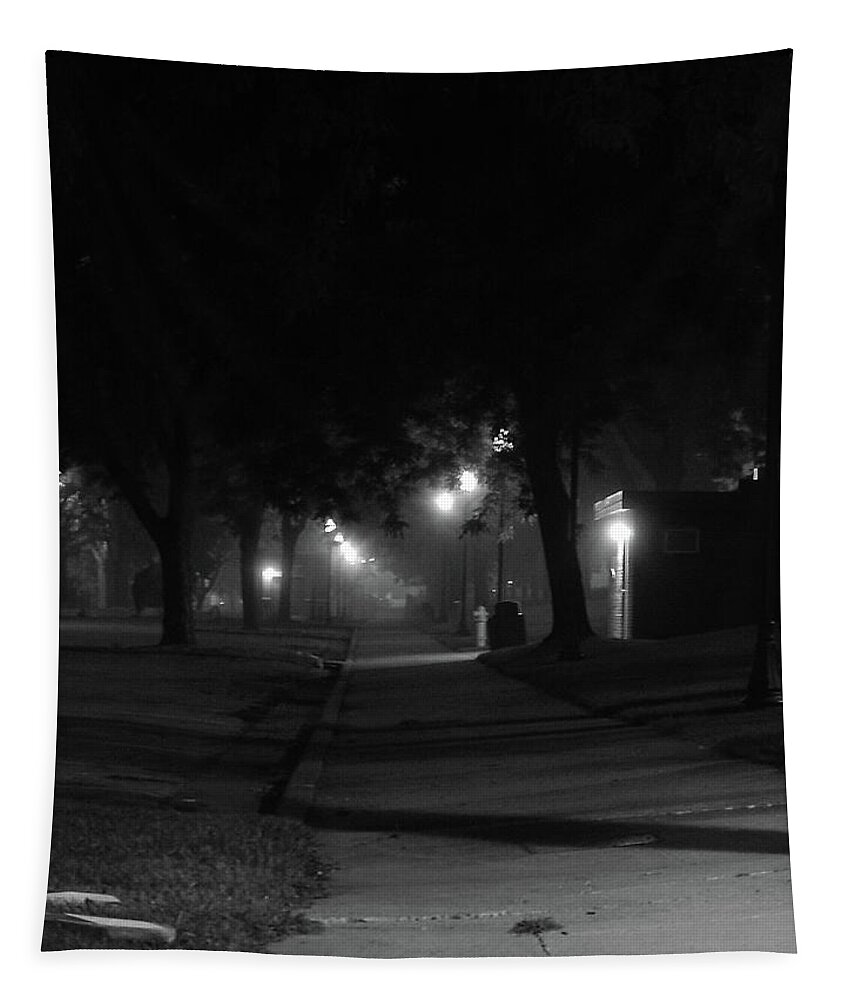 Black And White Tapestry featuring the photograph This Way #1 by Wild Thing