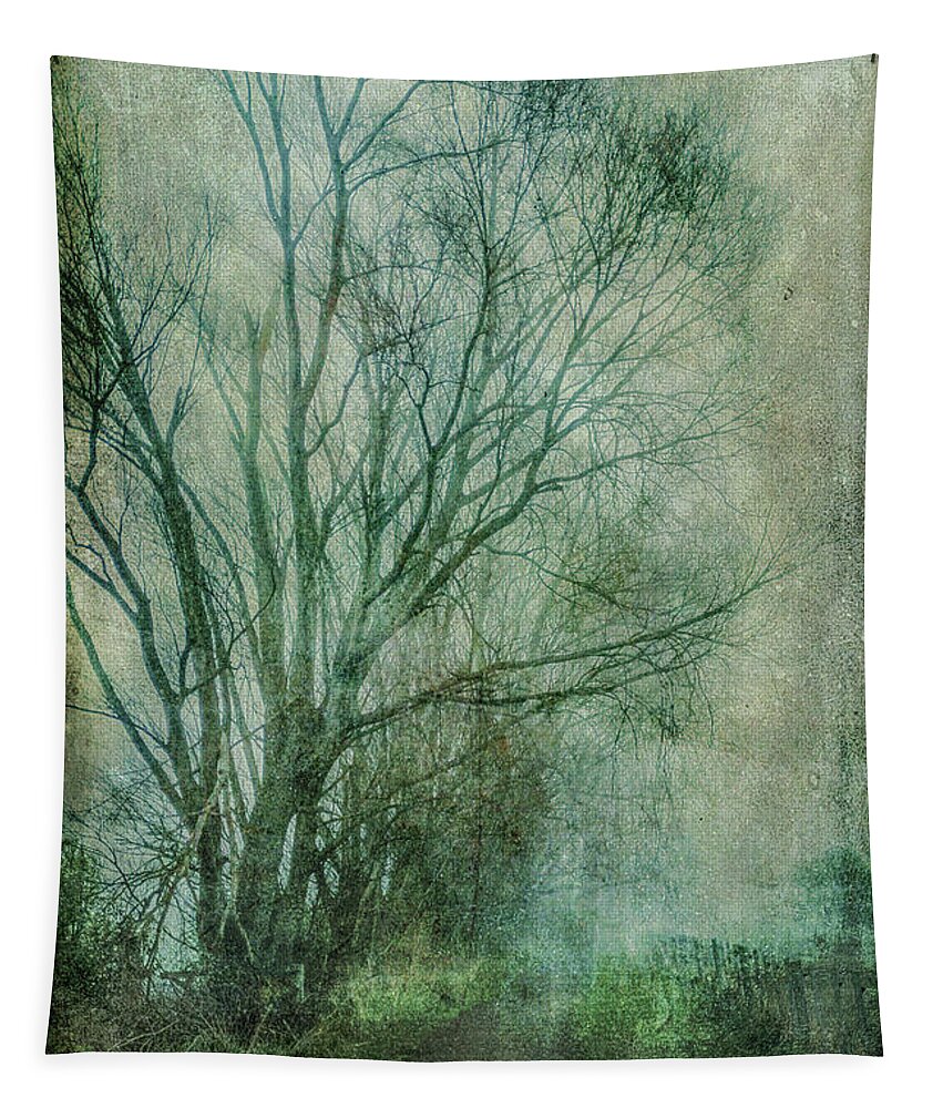 Tree Tapestry featuring the photograph Tree Mist #1 by Roseanne Jones