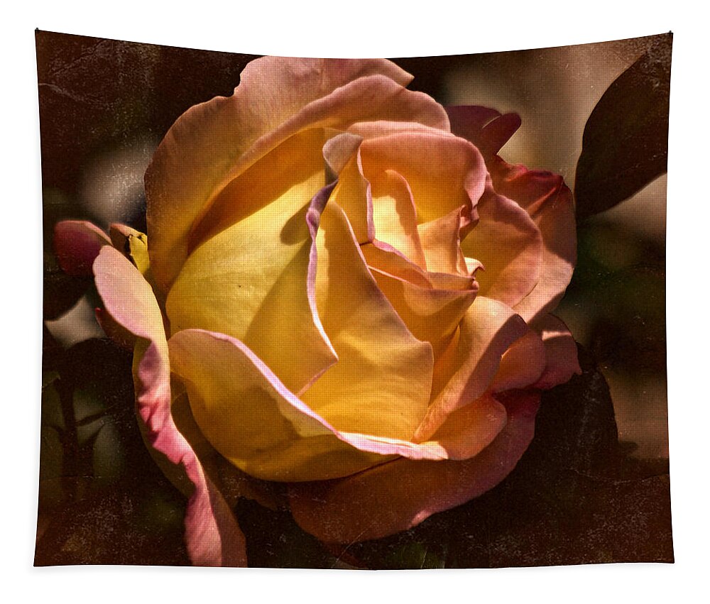 Rose Tapestry featuring the photograph Vintage Rose 2020 #1 by Richard Cummings
