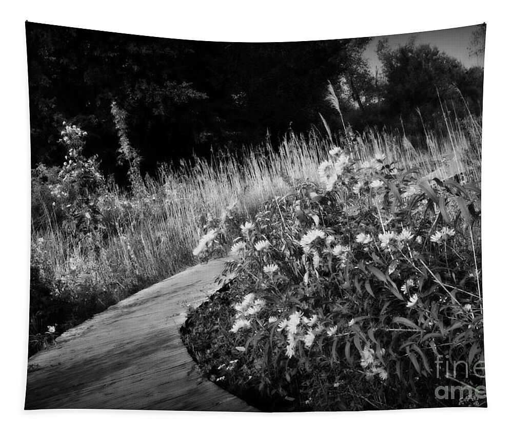 Black And White Tapestry featuring the photograph Wetlands Wonder - Black and White by Frank J Casella