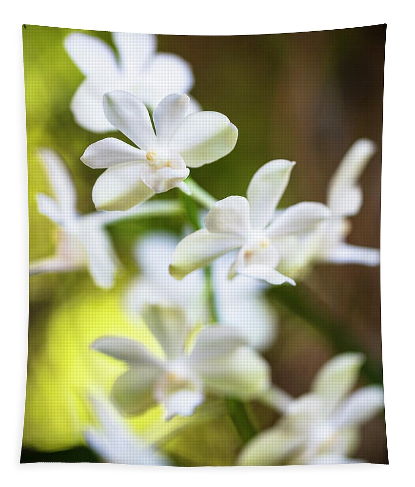 Background Tapestry featuring the photograph White Orchid Flower #1 by Raul Rodriguez