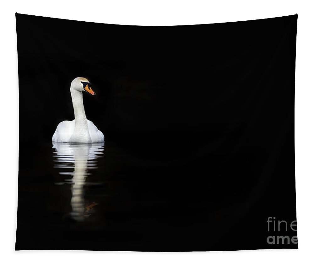 Black Tapestry featuring the photograph White swan reflected in calm water #1 by Jane Rix
