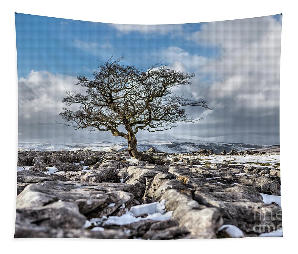 England Tapestry featuring the photograph Winskill Stones by Tom Holmes Photography