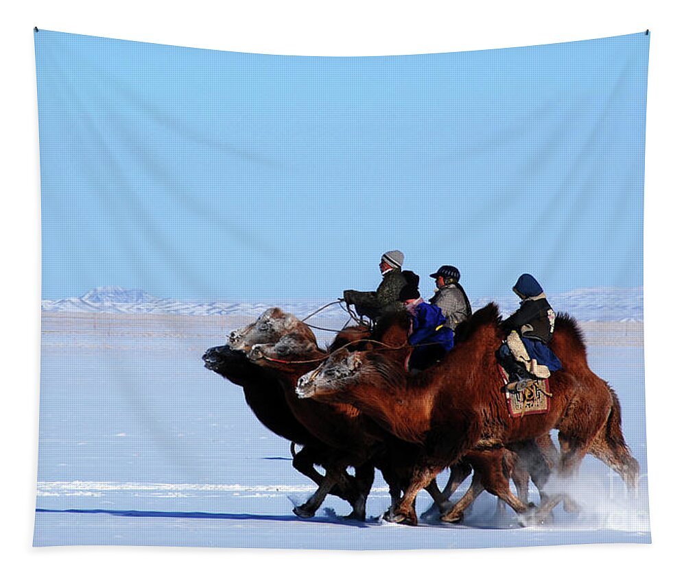Winter Camel Racing Tapestry featuring the photograph Winter Camel racing by Elbegzaya Lkhagvasuren