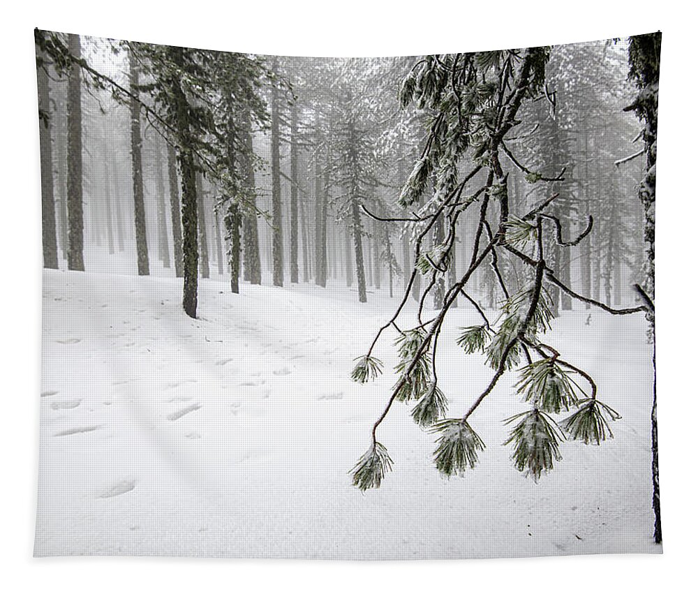 Winter Landscape Tapestry featuring the photograph Winter forest landscape with mountain covered in snow by Michalakis Ppalis