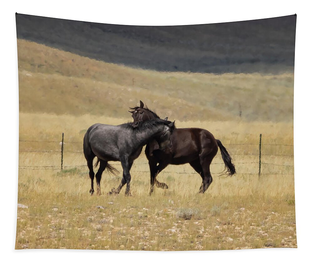 Horse Tapestry featuring the photograph Wild Horses #10 by Laura Terriere