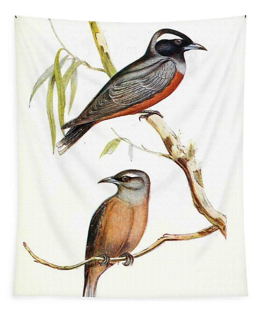 Birds Tapestry featuring the mixed media Beautiful Vintage Bird #1050 by World Art Collective