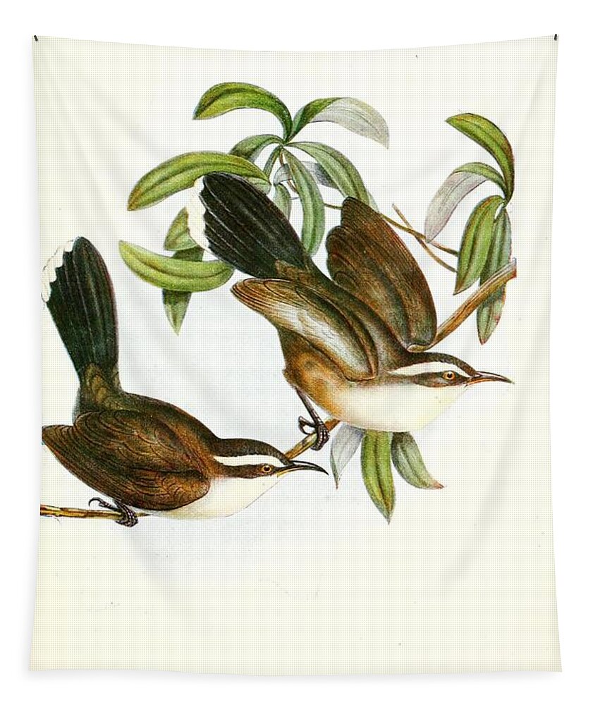 Birds Tapestry featuring the mixed media Beautiful Vintage Bird #1091 by World Art Collective