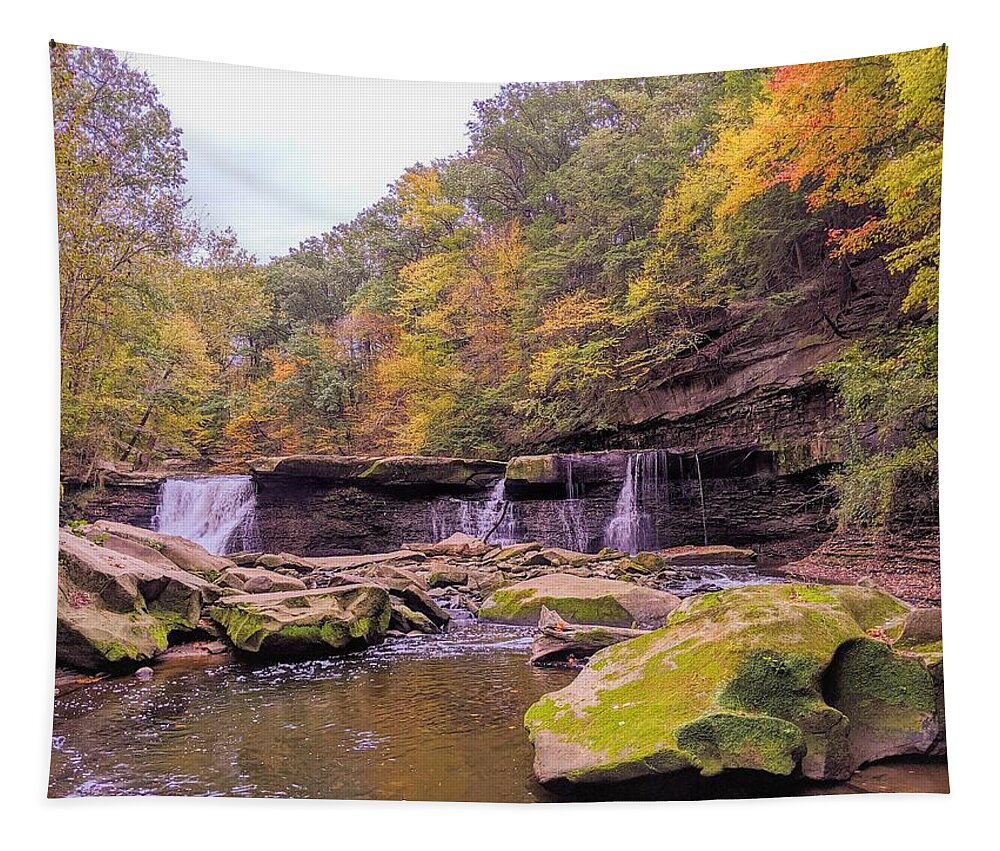  Tapestry featuring the photograph Great Falls by Brad Nellis