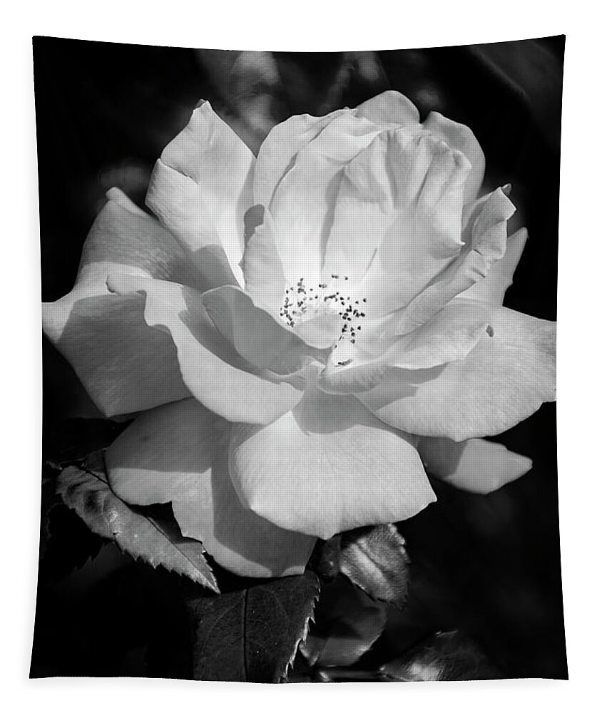 Flowers Tapestry featuring the photograph Nature Art #11 by Robert Grac