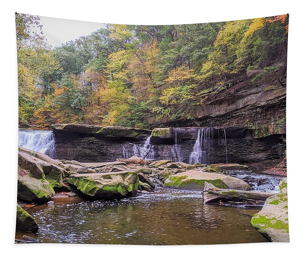  Tapestry featuring the photograph Great Falls #12 by Brad Nellis