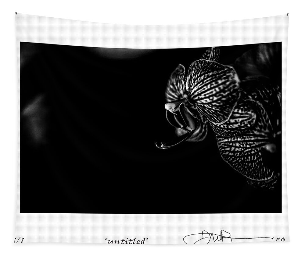 Digital Fine Art Tapestry featuring the digital art 14 by Jerald Blackstock