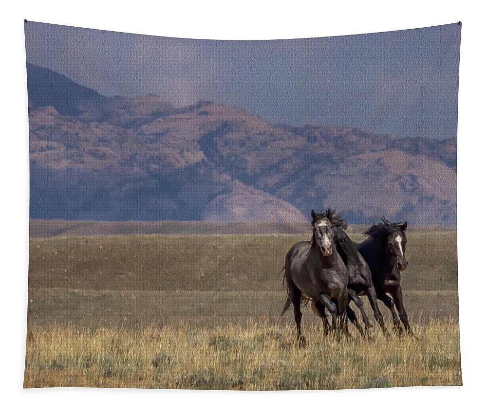 Horse Tapestry featuring the photograph Wild Horses #14 by Laura Terriere