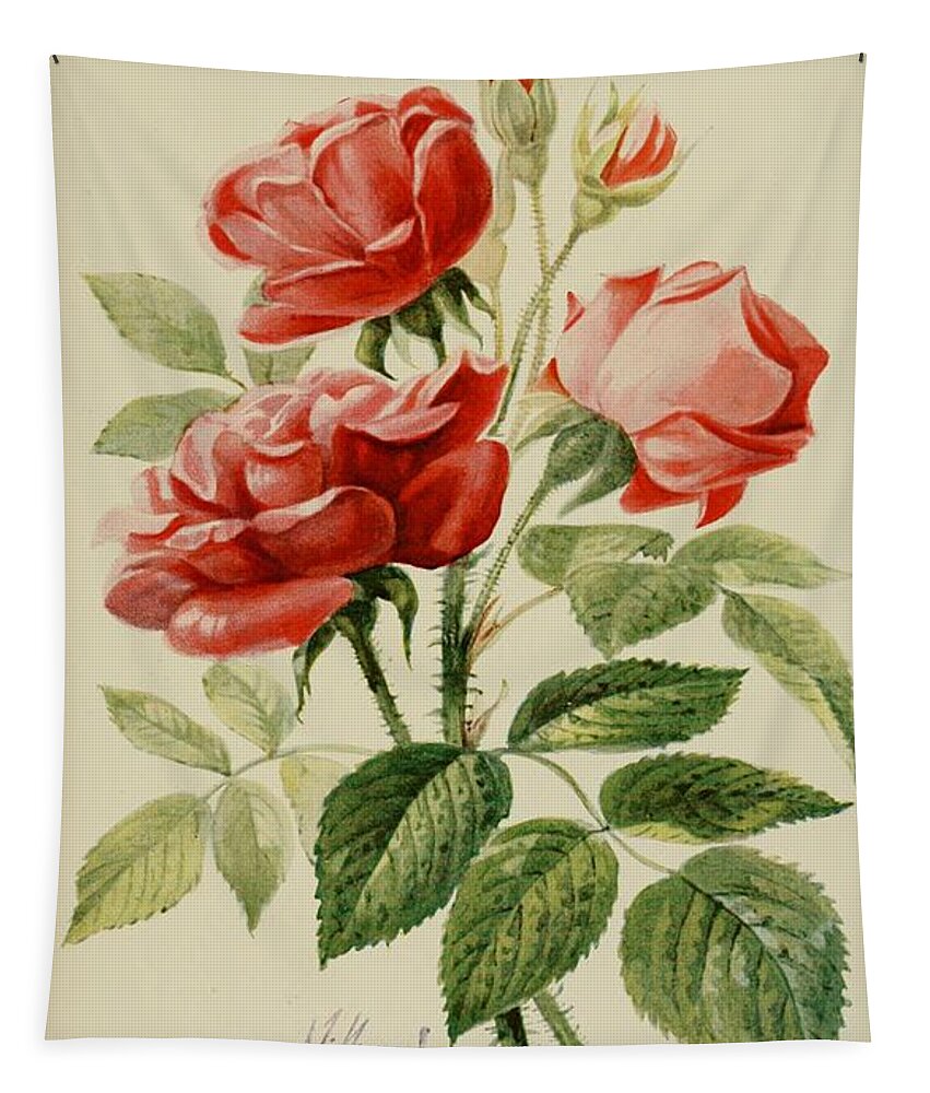 Flower Tapestry featuring the mixed media Beautiful Vintage Rose #145 by World Art Collective