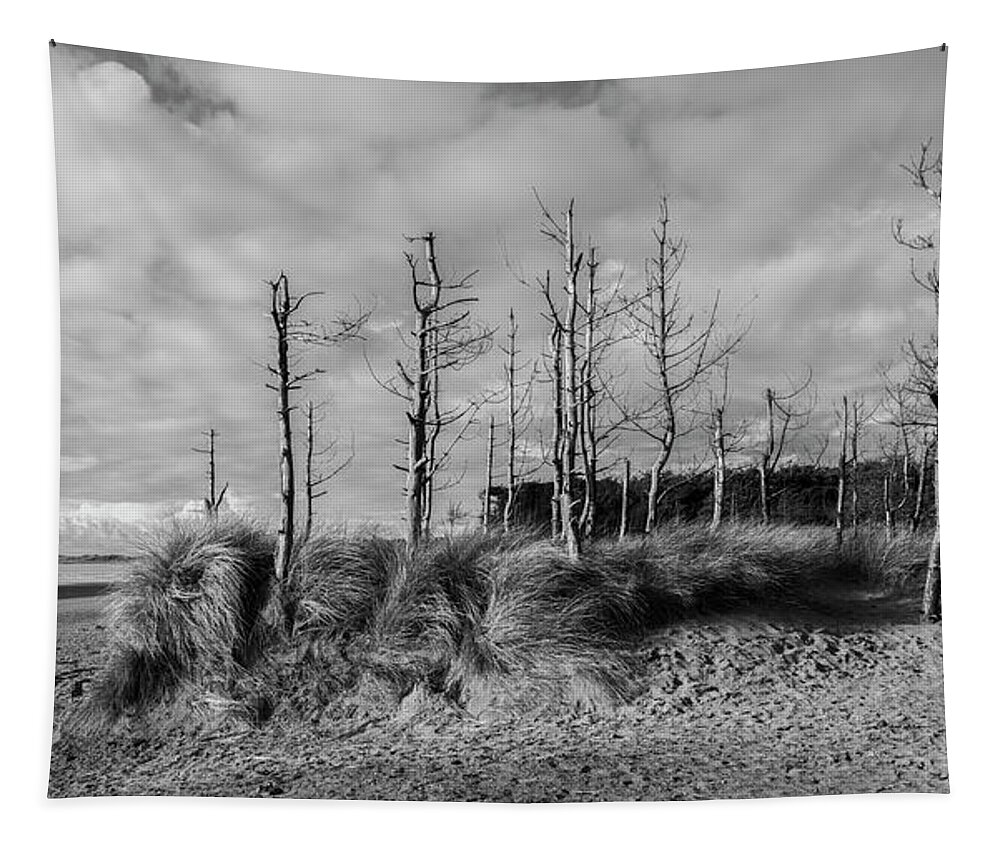 Trees Tapestry featuring the photograph Trees #3 by Remigiusz MARCZAK