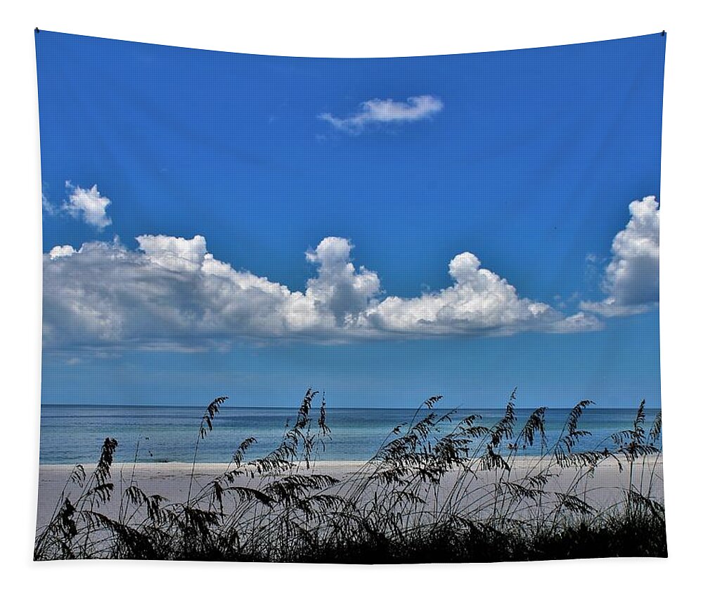  Tapestry featuring the photograph Naples Beach by Donn Ingemie