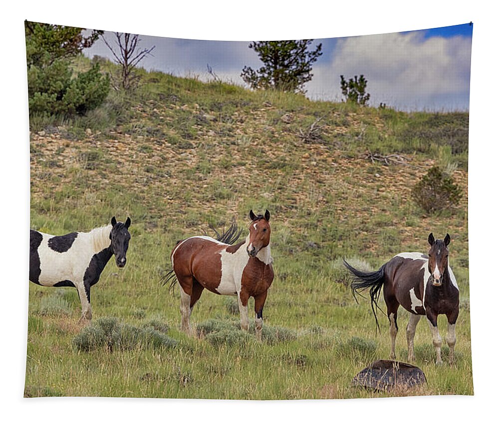 Horse Tapestry featuring the photograph Wild Horses #19 by Laura Terriere