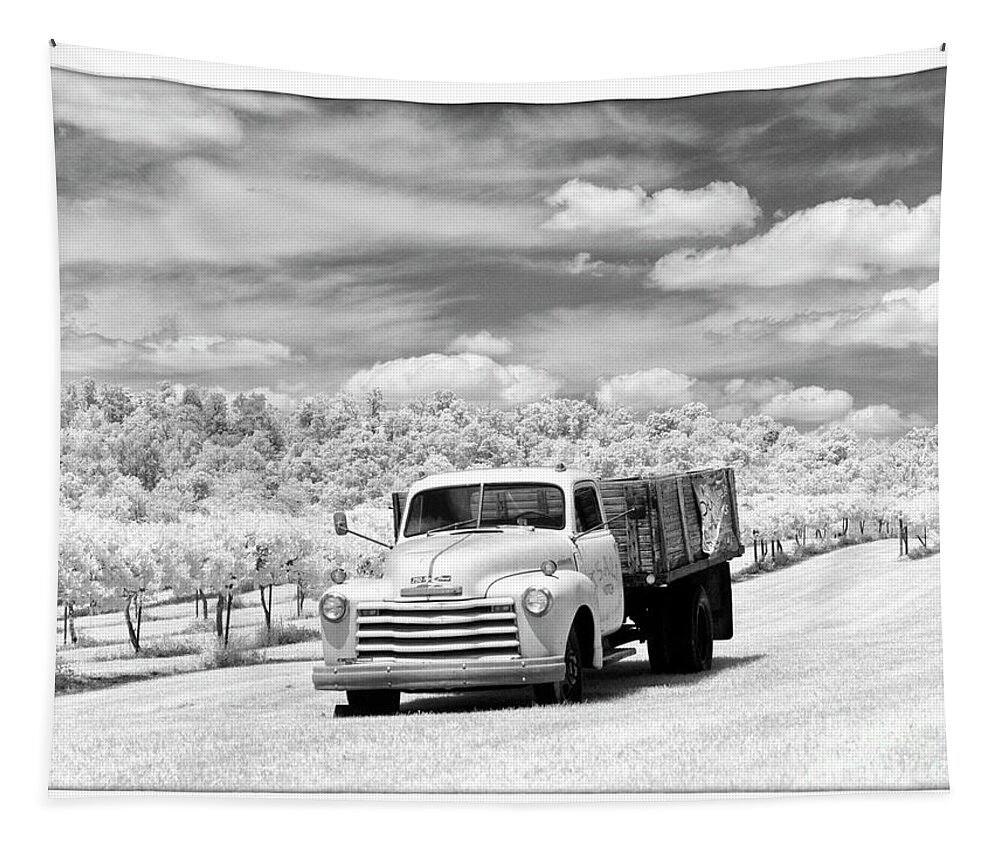 Infrared Tapestry featuring the photograph 1947 Chevy Truck - BWM000083 by Daniel Dempster