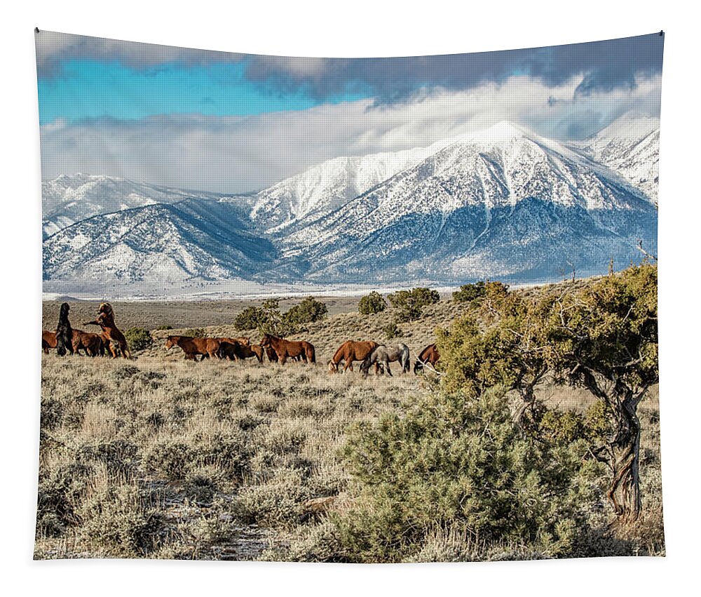  Tapestry featuring the photograph 1dx25710 by John T Humphrey
