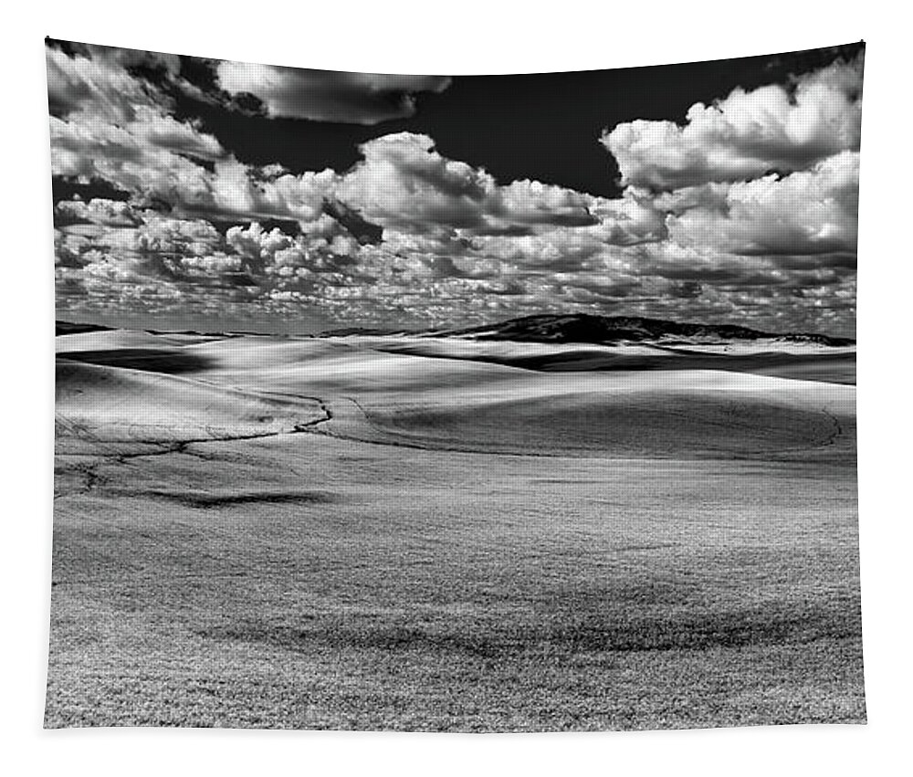 Hdr Tapestry featuring the photograph A Palouse Panorama #2 by David Patterson