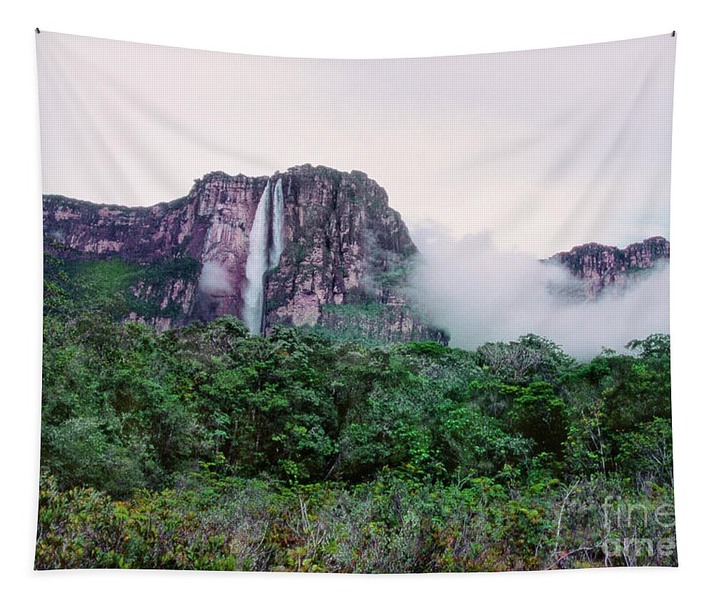 Dave Welling Tapestry featuring the photograph Angel Falls Canaima National Park Venezuela by Dave Welling