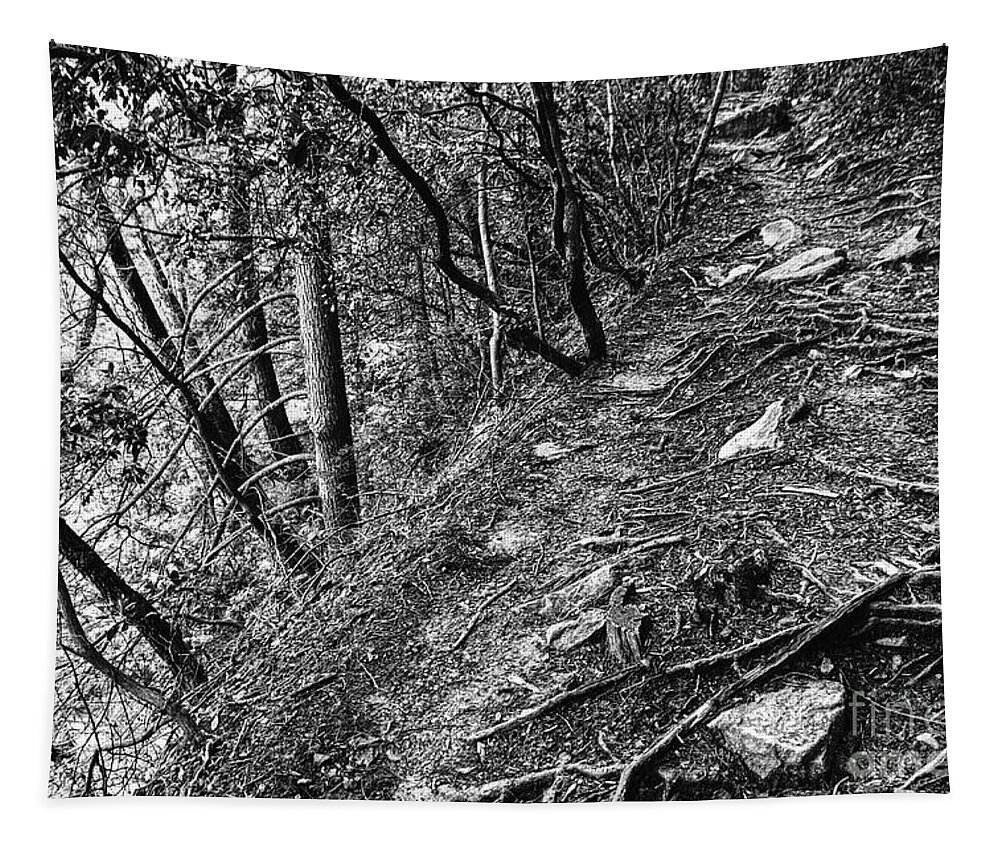 Tennessee Tapestry featuring the photograph Black And White Trail by Phil Perkins