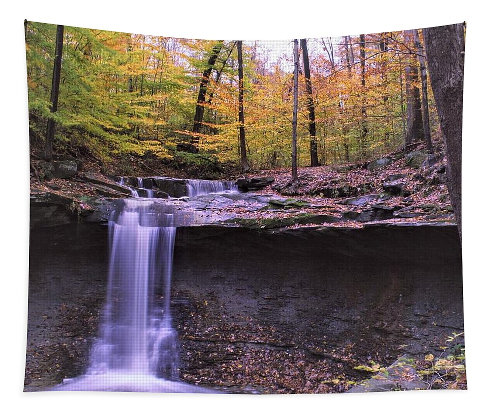  Tapestry featuring the photograph Blue Hen Falls by Brad Nellis