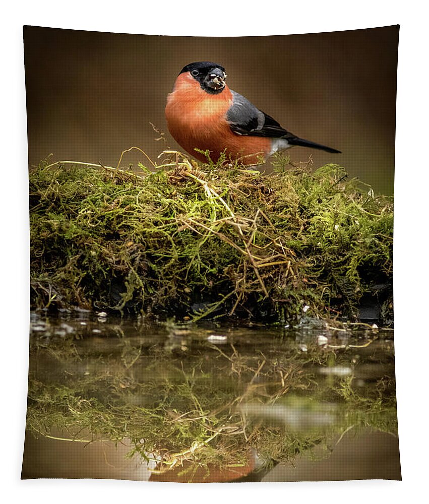 Animal Tapestry featuring the photograph Bullfinch #2 by Chris Smith