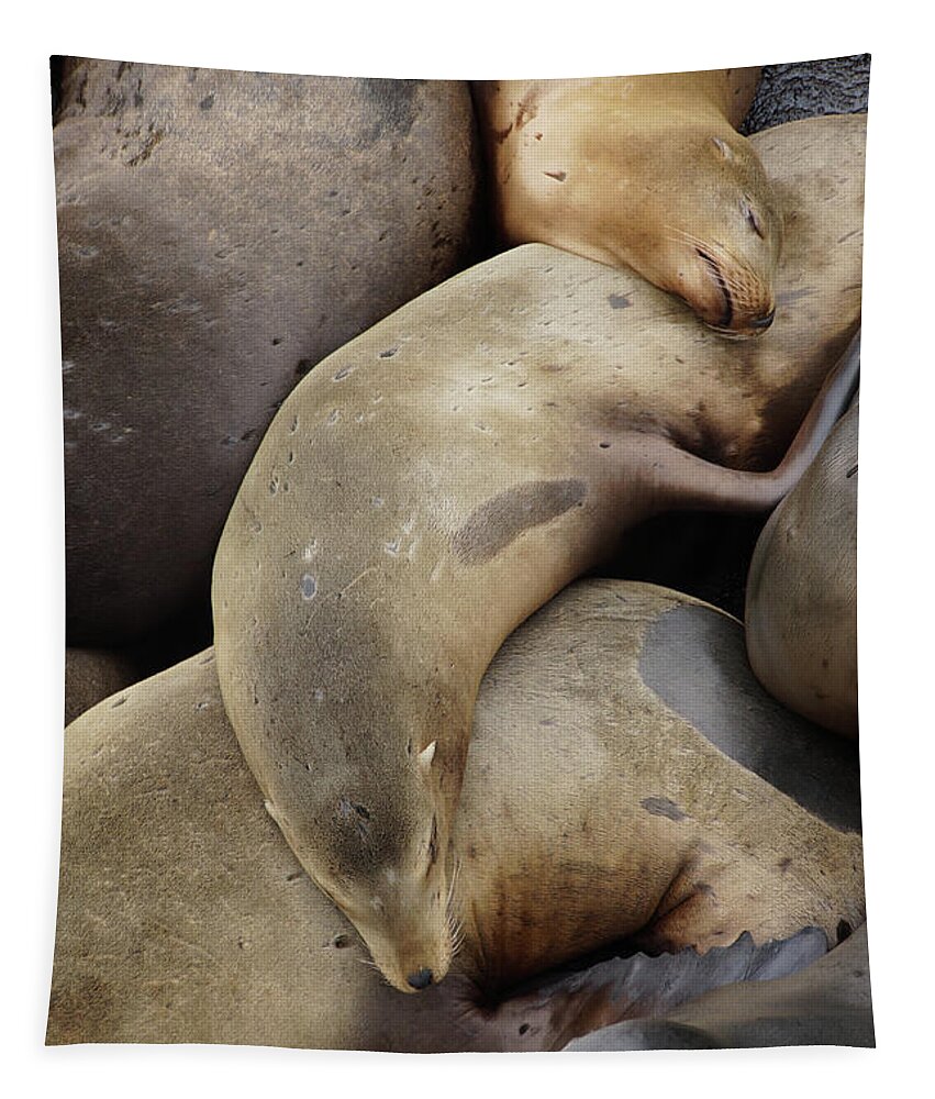 Animal Tapestry featuring the photograph California sea lions asleep #2 by Steve Estvanik