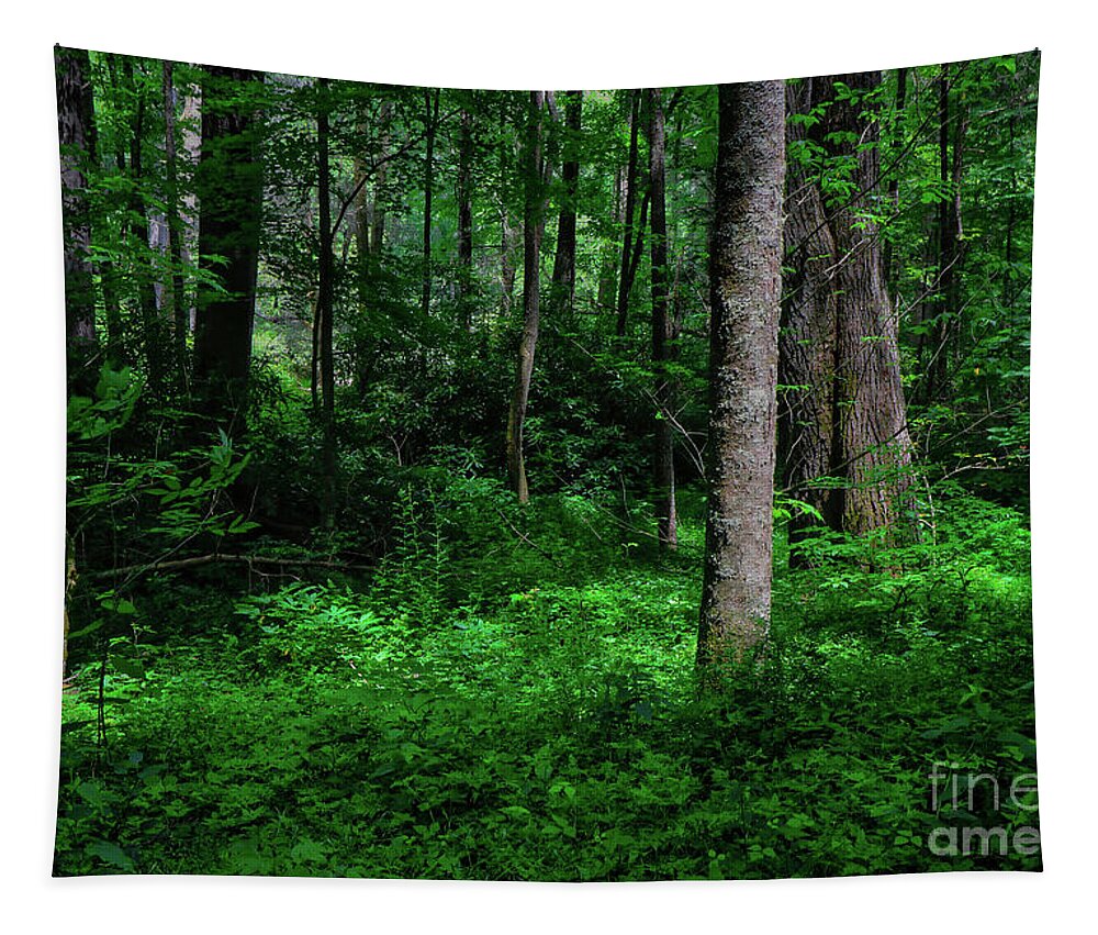 Blue Ridge Tapestry featuring the photograph Early Morning Light by Shelia Hunt