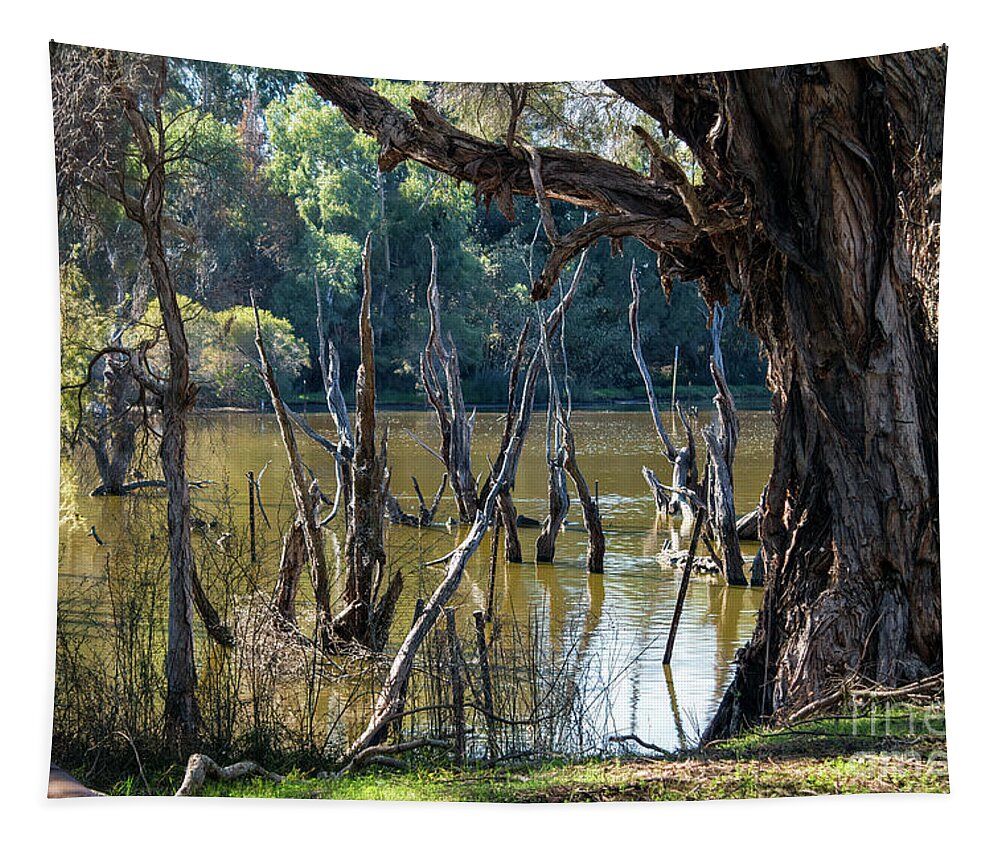 Trees Tapestry featuring the photograph Eric Singleton Bird Sanctuary, Bayswater, Western Australia #2 by Elaine Teague