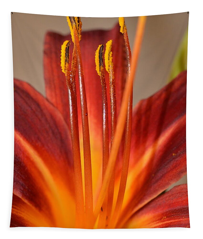 Lily Tapestry featuring the photograph Fire Lily 2 by Amy Fose