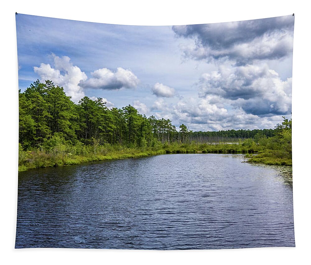 Franklin Parker Preserve Tapestry featuring the photograph Franklin Parker Preserve Landscape #2 by Louis Dallara