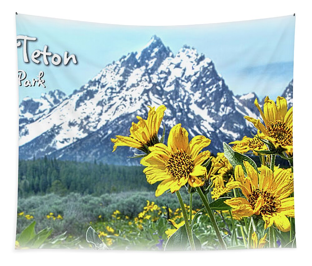 Grandtetons Tapestry featuring the photograph Grand Tetons #3 by Phil Koch