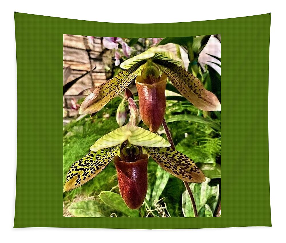 Flora Tapestry featuring the photograph Lady Slipper Orchid #2 by Bruce Bley