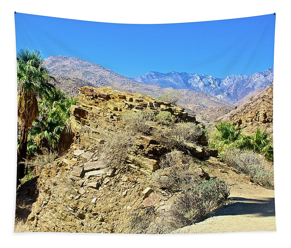Lower Palm Canyon From Beginning Of Fern Trail In Indian Canyons Near Palm Springs Tapestry featuring the photograph Lower Palm Canyon Trail in Indian Canyons near Palm Springs, California #2 by Ruth Hager