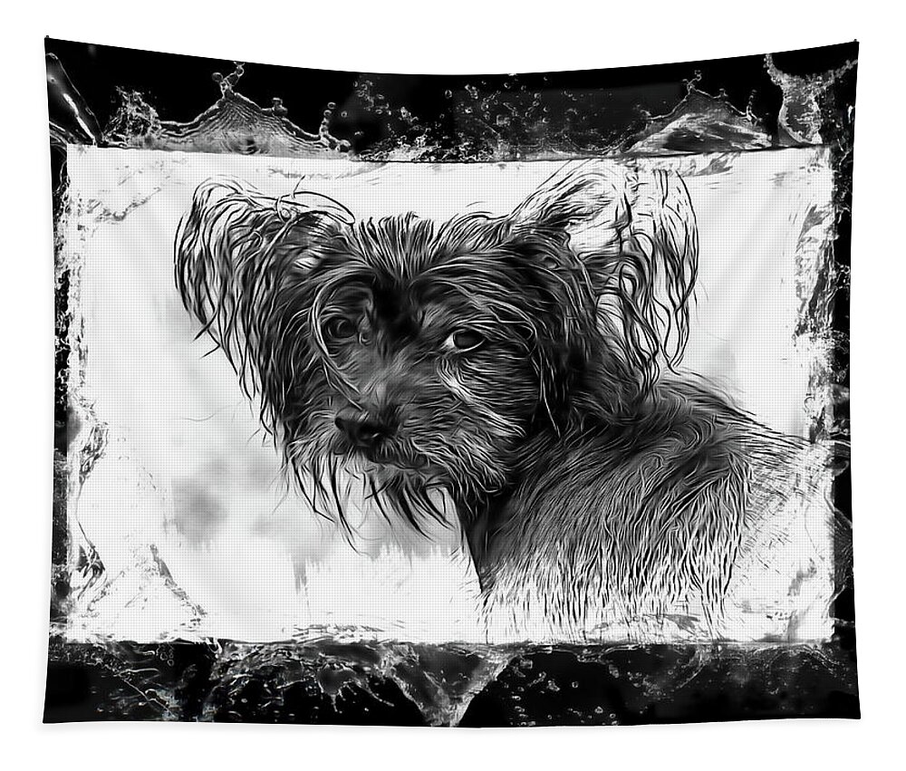 Dog Tapestry featuring the photograph Man's Best Friend #1 by Andrea Kollo