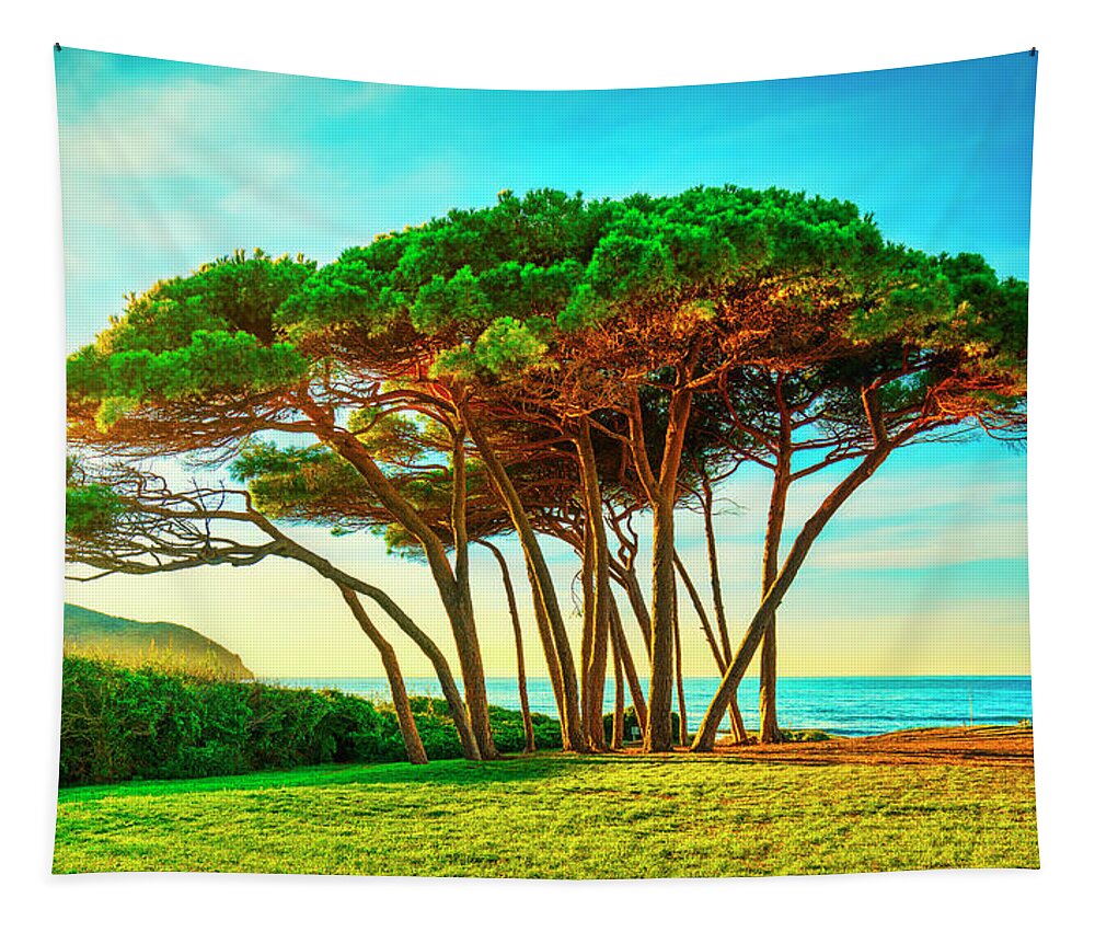 Baratti Tapestry featuring the photograph Maritime Pine tree group near sea and beach. Baratti, Tuscany. by Stefano Orazzini