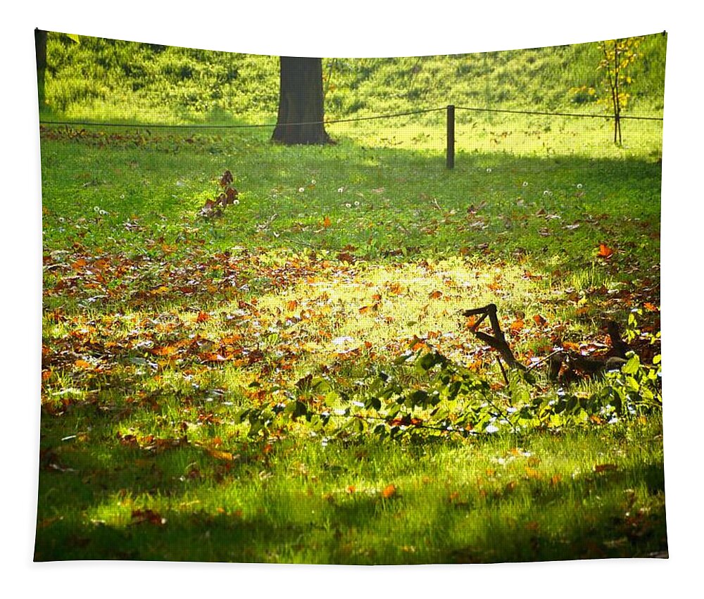 Trees Tapestry featuring the photograph Parco Cavour. Ottobre 2016 #4 by Marco Cattaruzzi