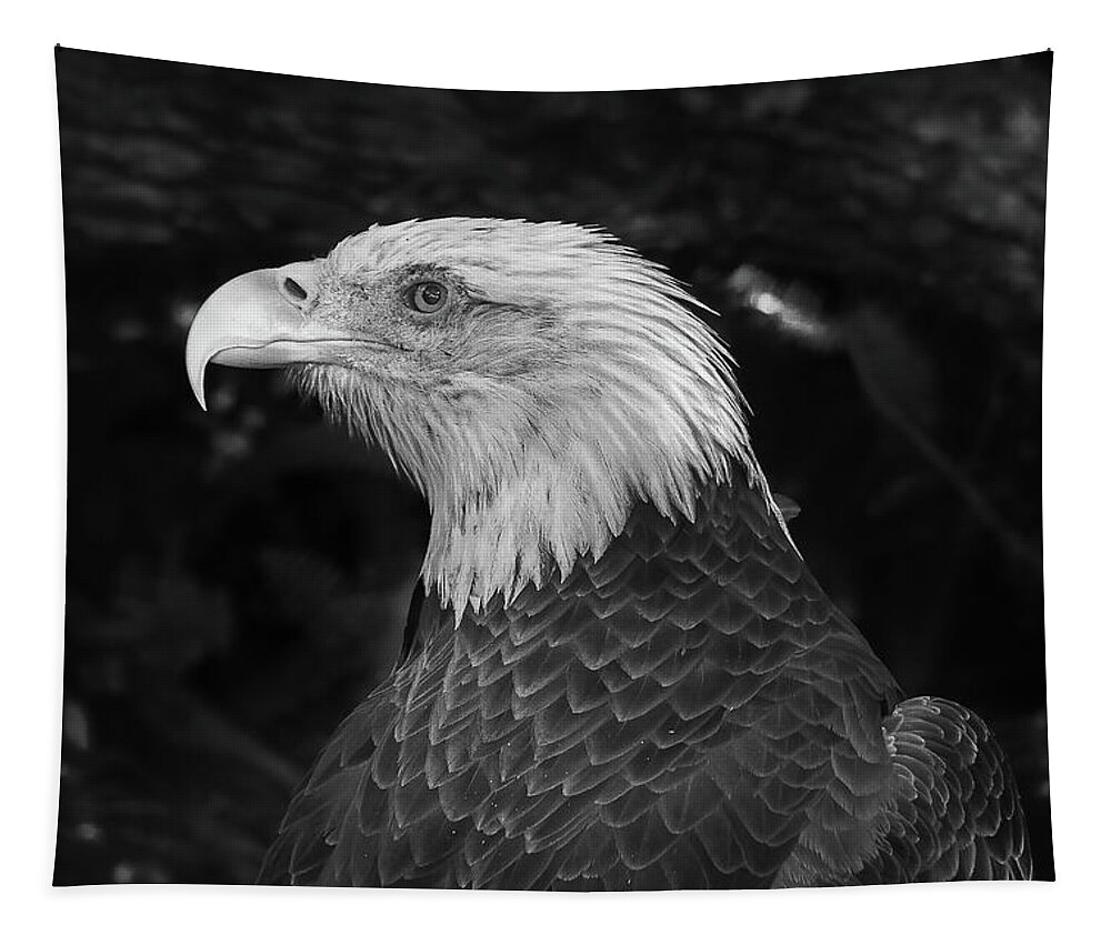 Eagle Tapestry featuring the photograph Portrait #2 by Les Greenwood