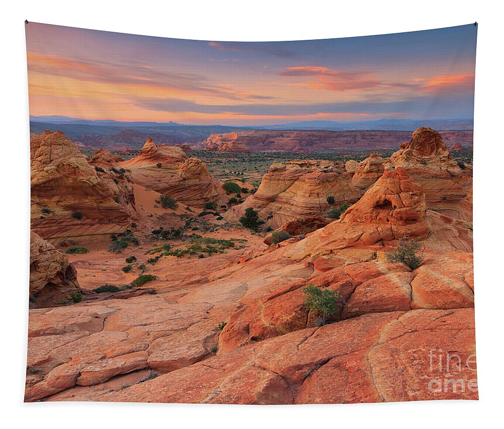 Rock Tapestry featuring the photograph South Coyote Buttes, Arizona by Henk Meijer Photography