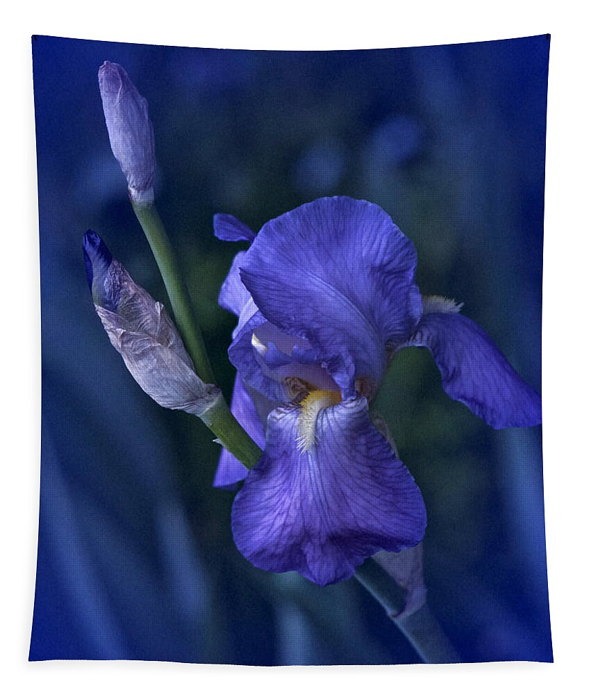 Flowers Tapestry featuring the photograph Spring Collection 2020 #4 by Richard Cummings