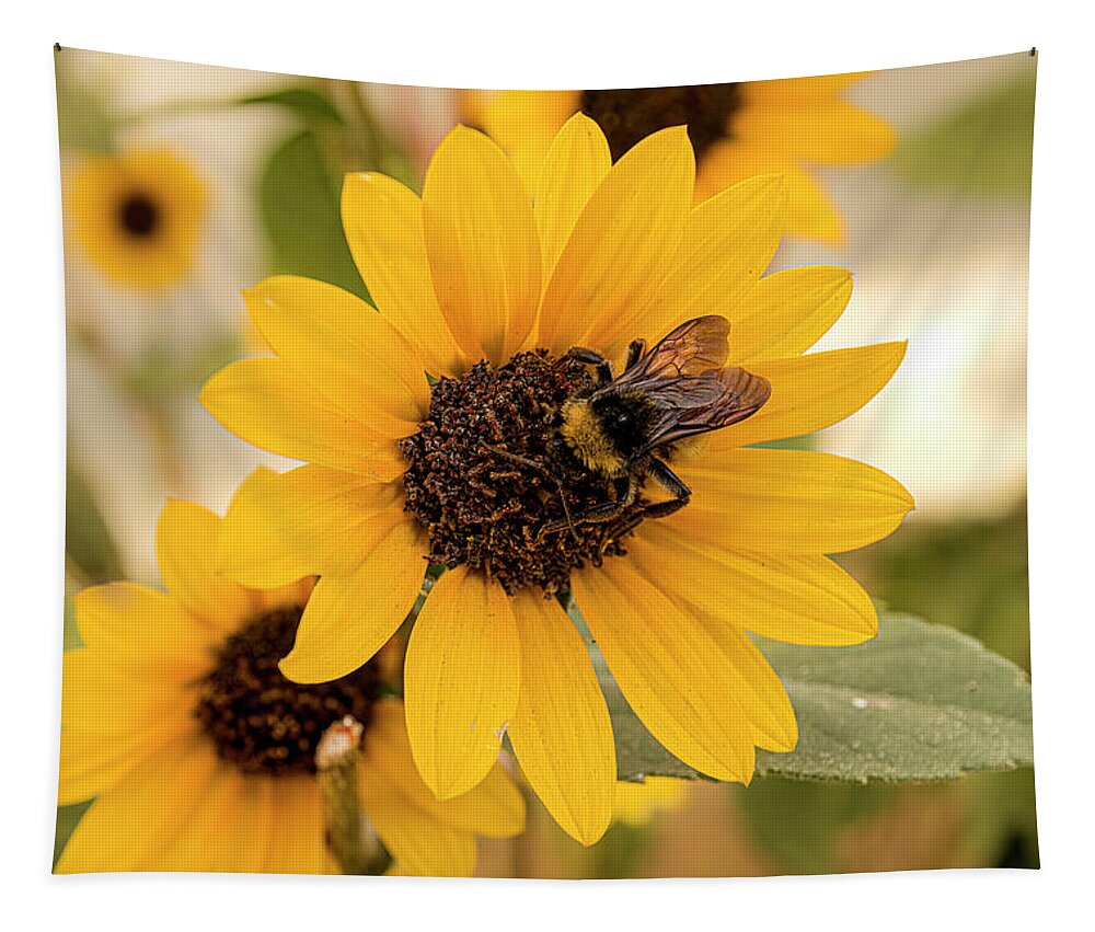  Architectural Tapestry featuring the photograph Sunflower #2 by Lou Novick